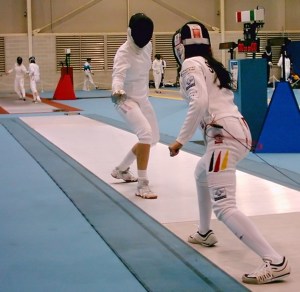 535549_38060502_fencing