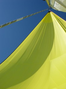 1148041_32551362_spinnaker