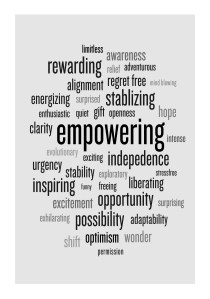 Transition's Positive Attributes from Rossetti's Research